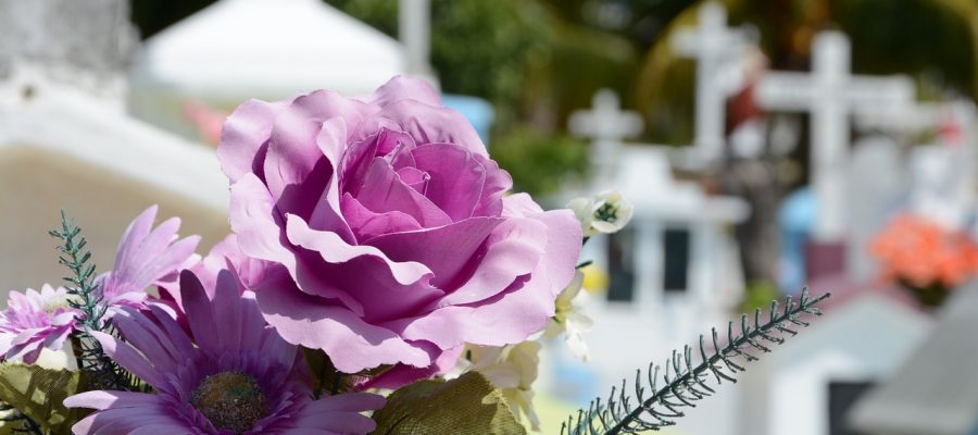 cementerio, flor, cemetery